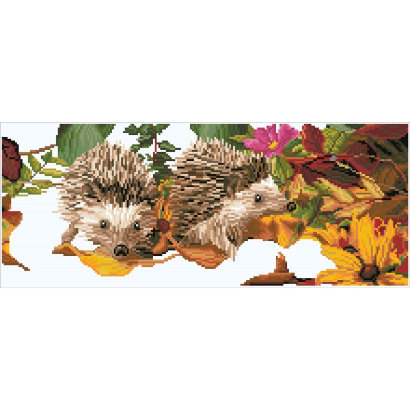 Hedgehog scramble