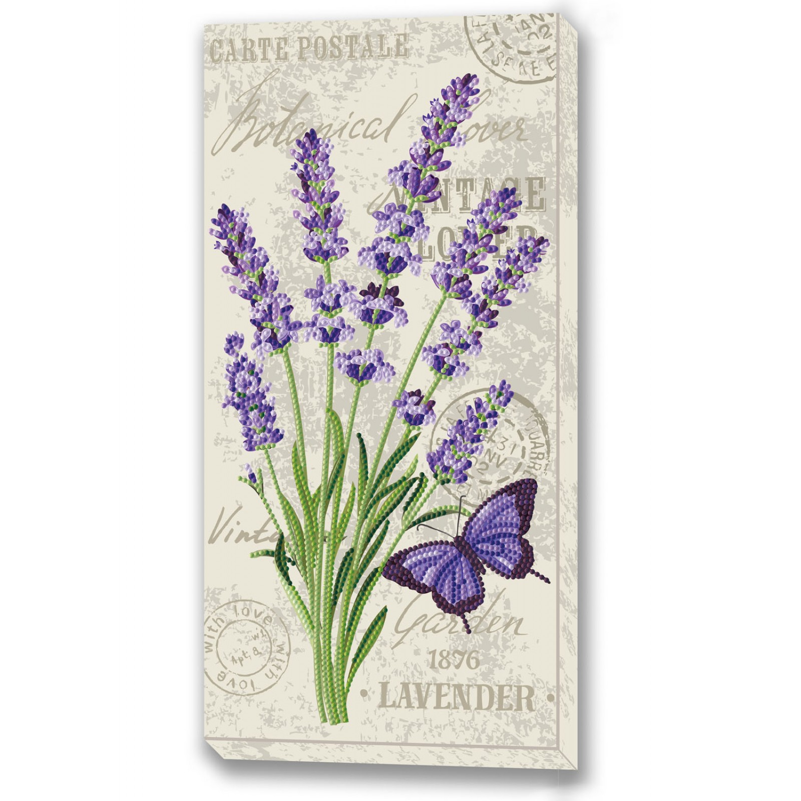 French Lavender