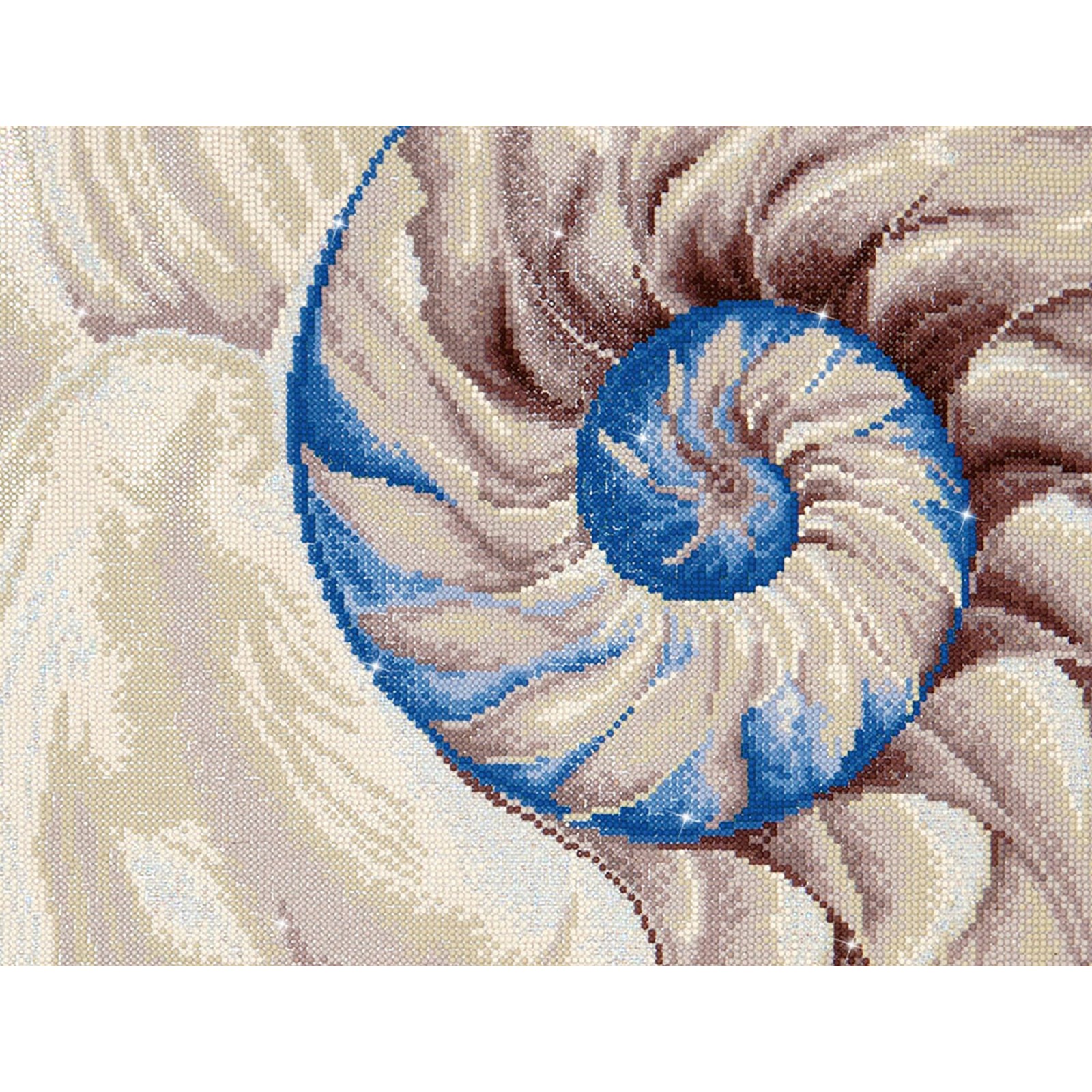 Nautilus