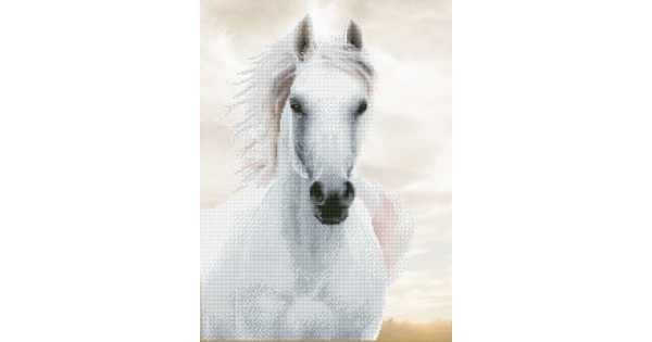 lmperial Riding Diamond インペリアルライディング Imperial Riding Reithandschuhe IRHDiamond Dust | eBay
