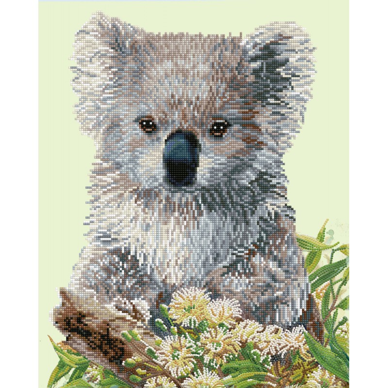 Koala & Eucalypus Blossom