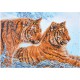 Tigers In The Snow