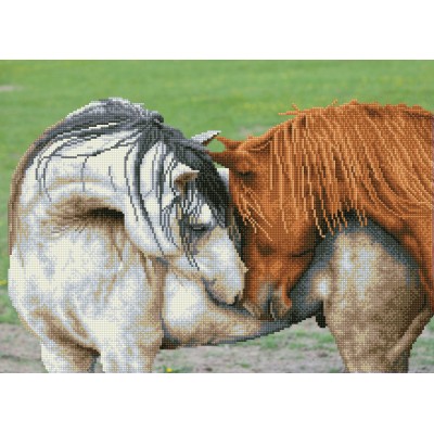 Courtship