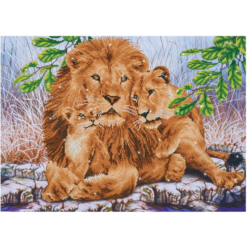 Lion Family