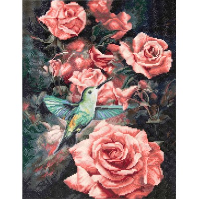 Roses & Hummingbird