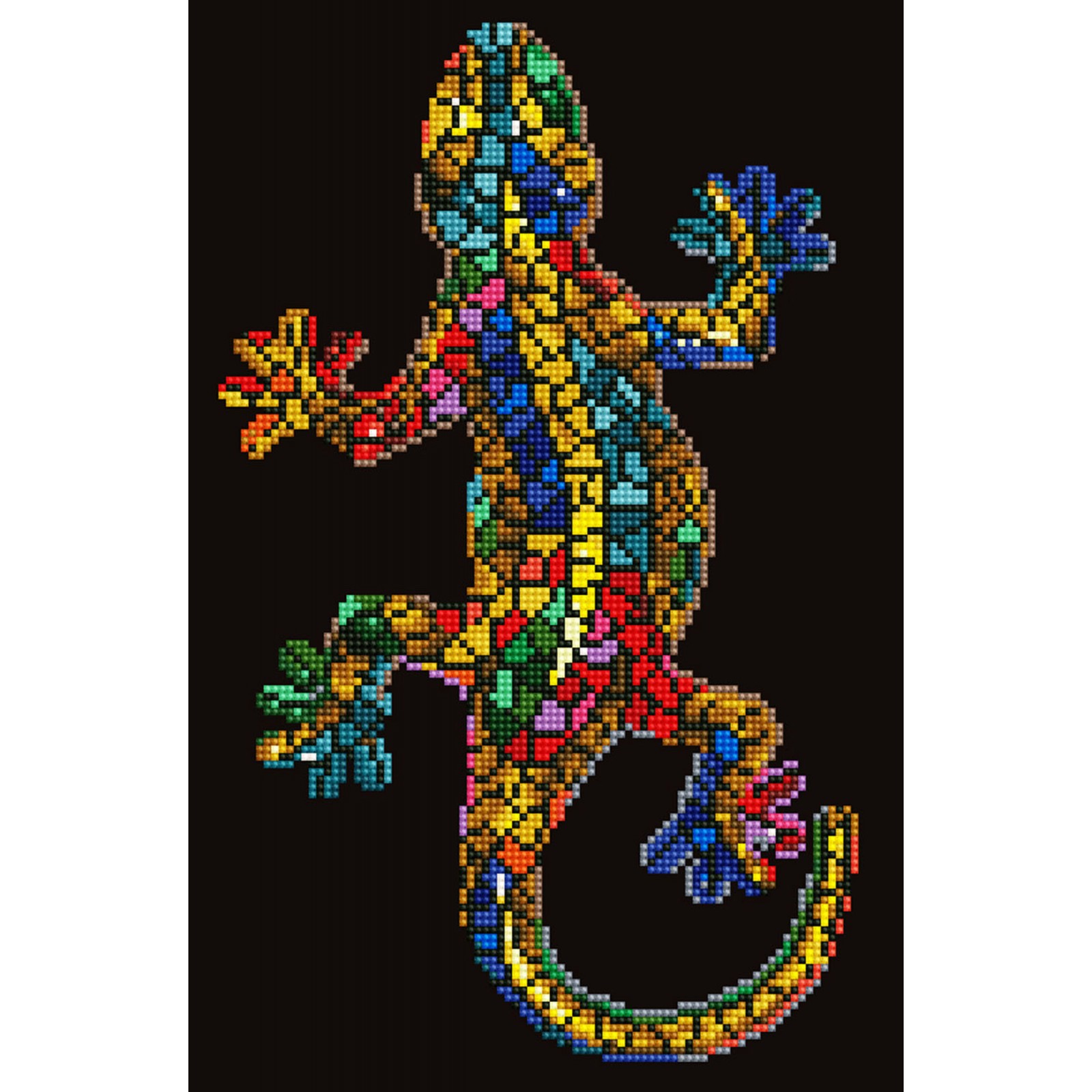 Gekko Paua