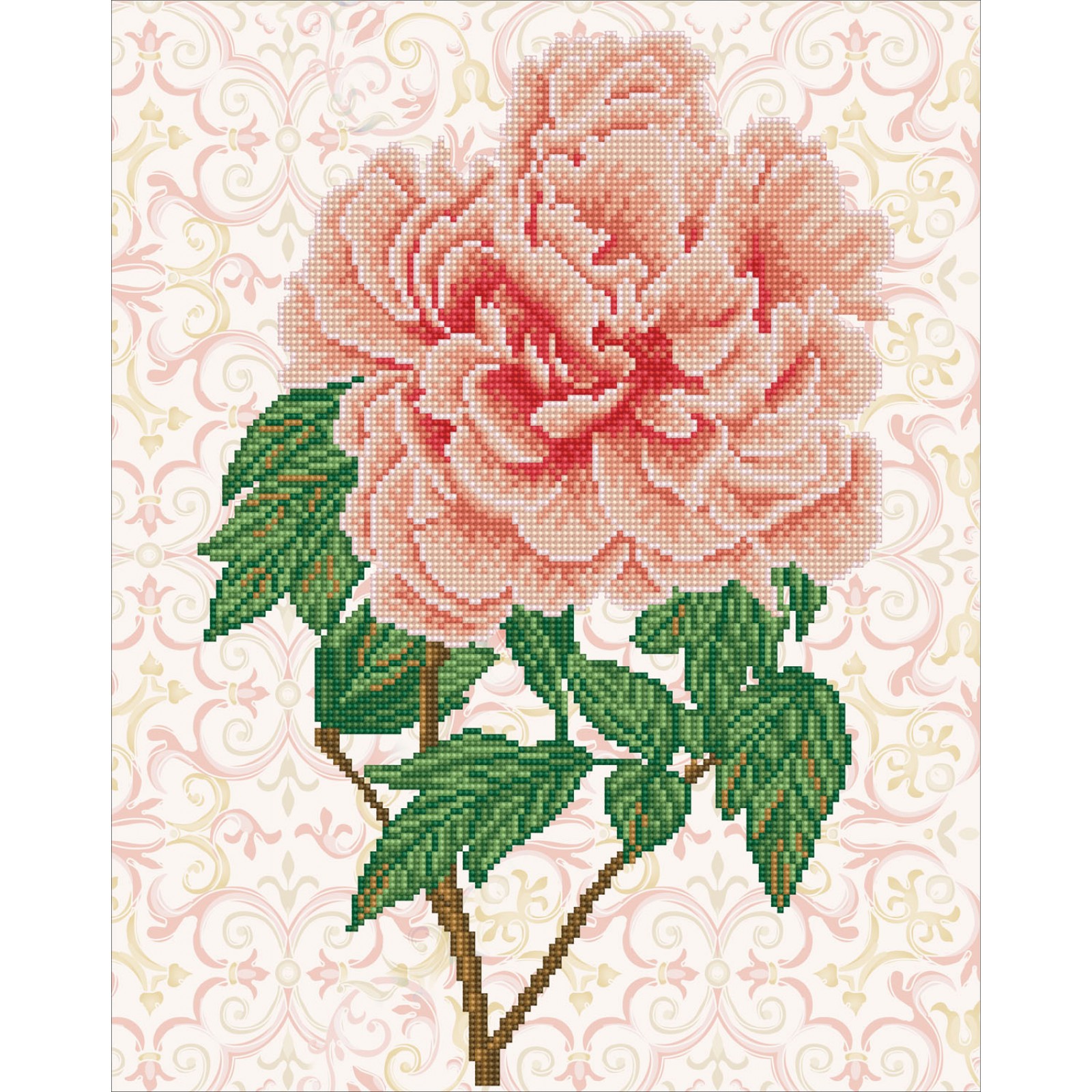Rose Blush