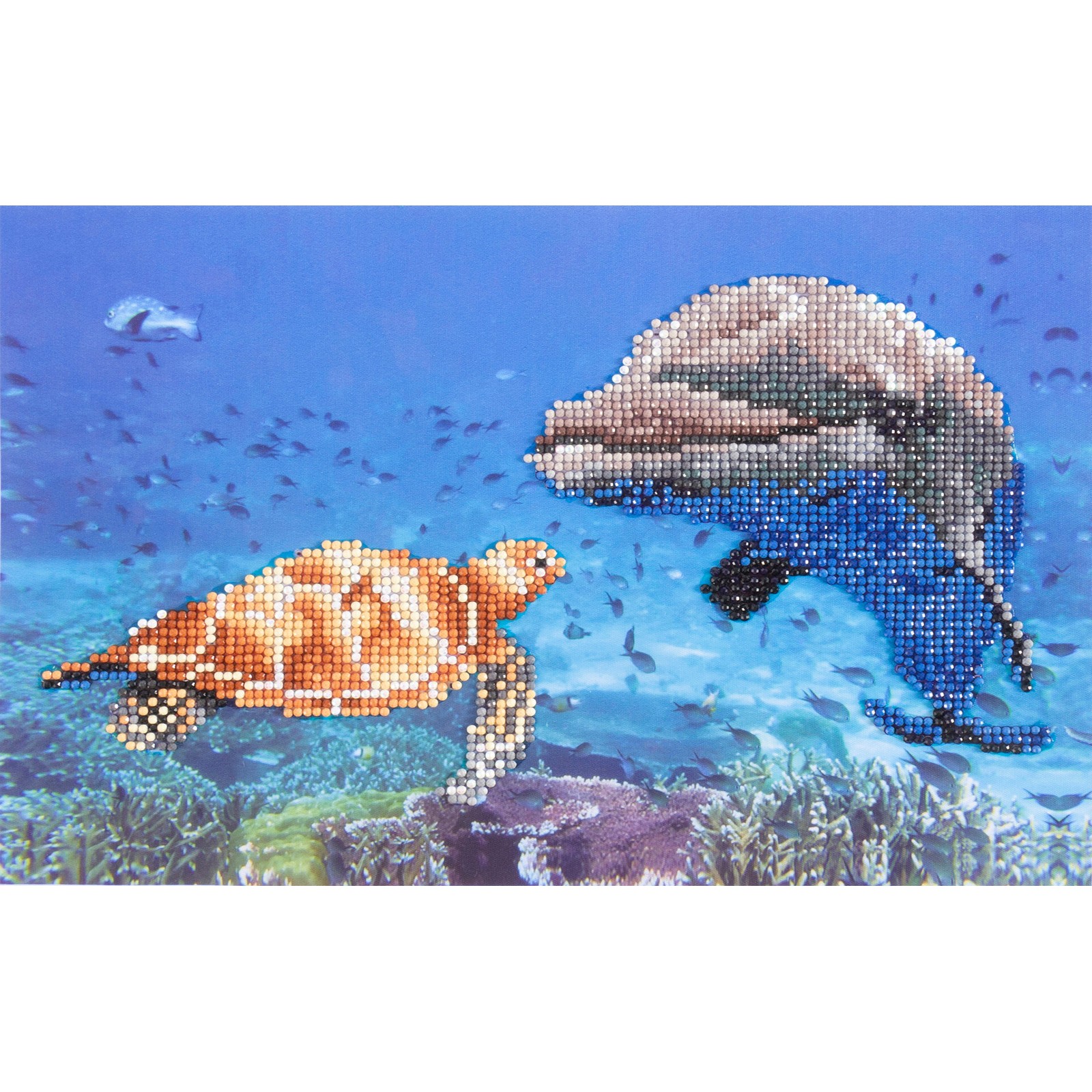 Sea Frolic