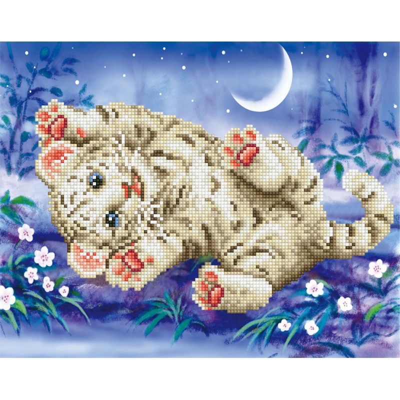 Baby Tiger Roly Poly with Frame