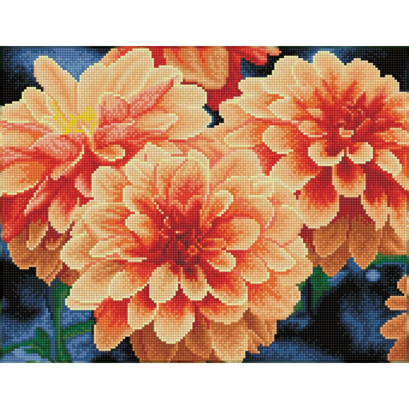 Peach Dahlias