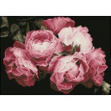 Vintage Roses