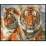 Tigers  - Pre-Framed Kit