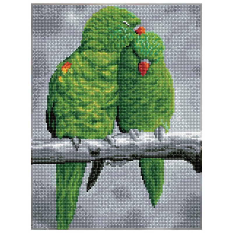 Sweet Perch Pre Framed Kit Diamond Painting Kit With Frame Dqk8