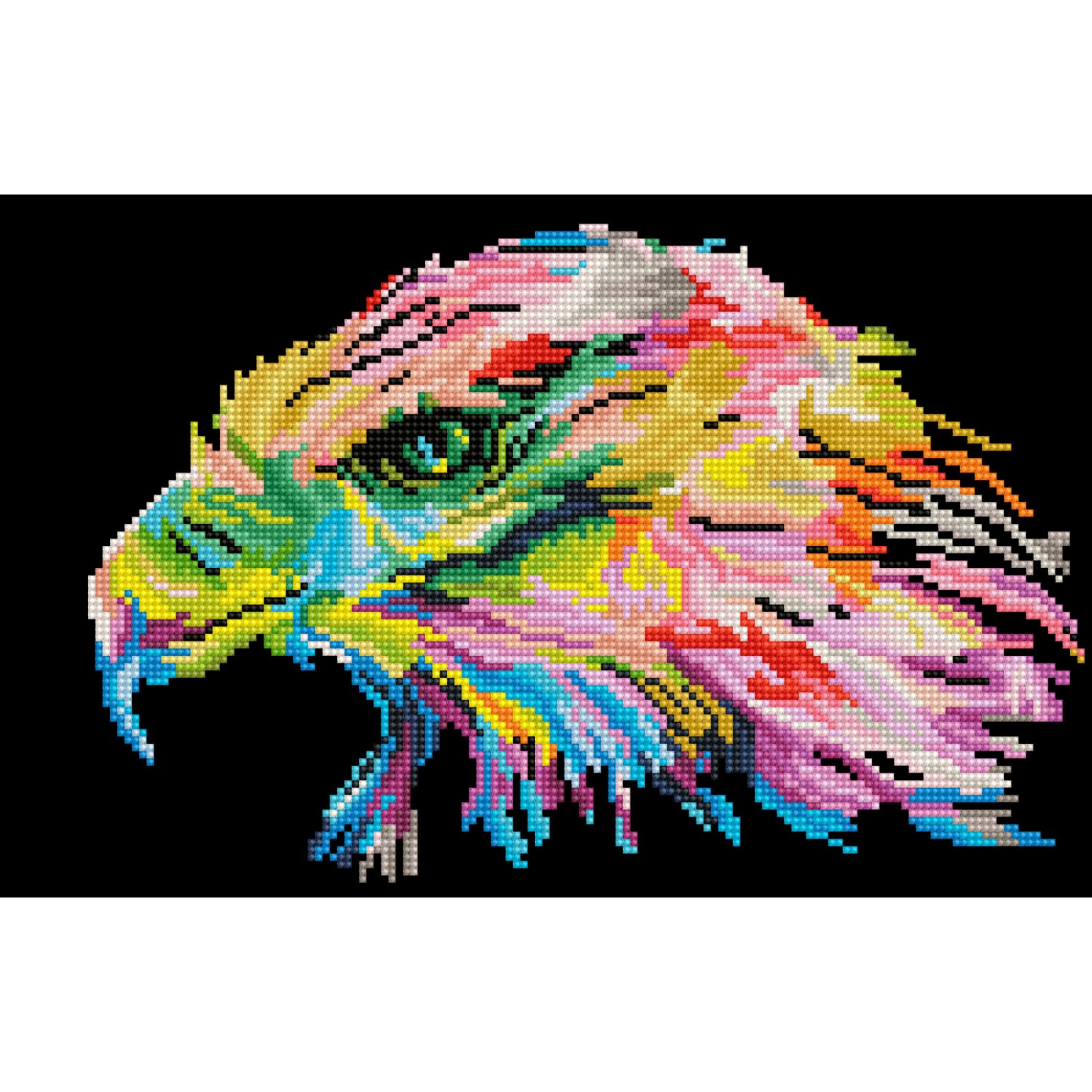 Eagle Eye