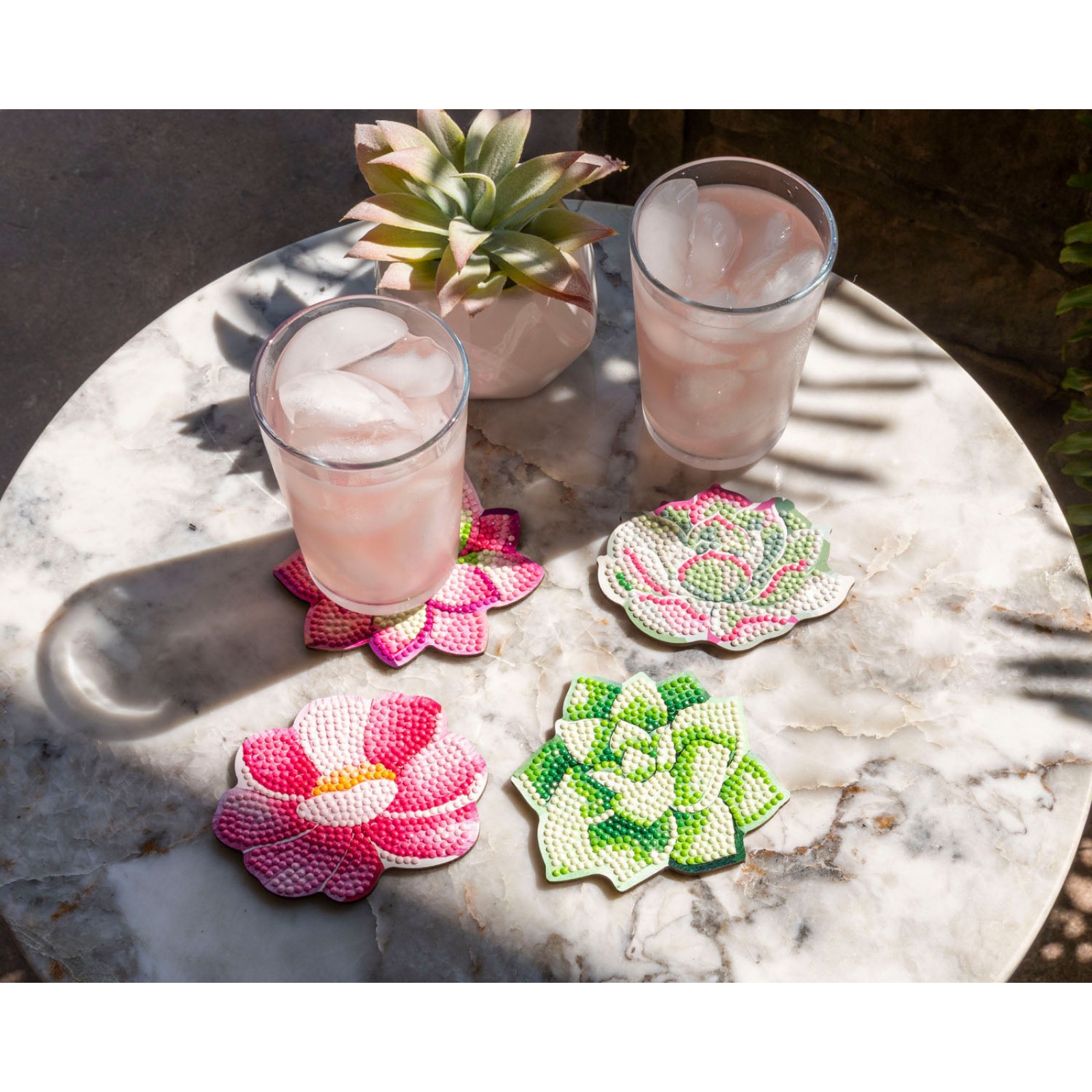 Succulents Coasters